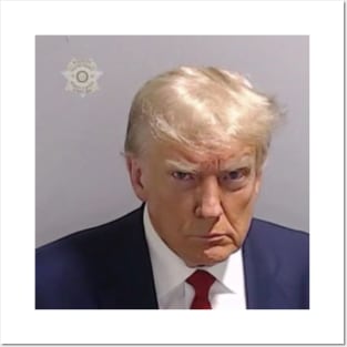 Trump Mugshot Posters and Art